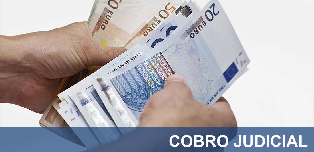 Asesoria Judicial